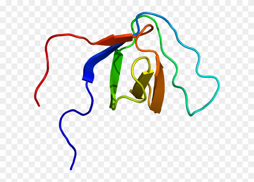 Keyword Research Clipart