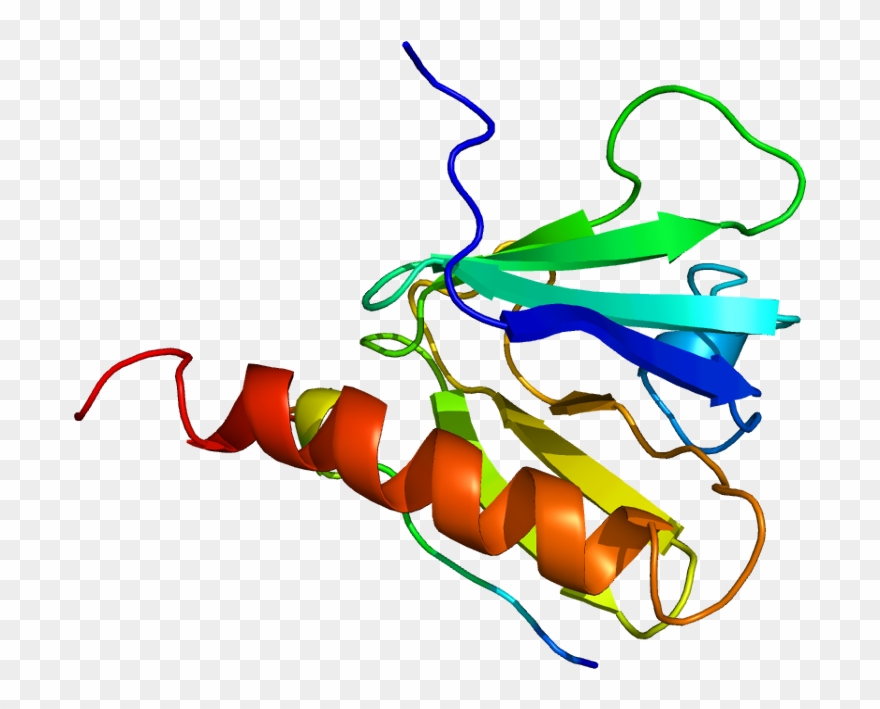 Irs 1 Protein Clipart