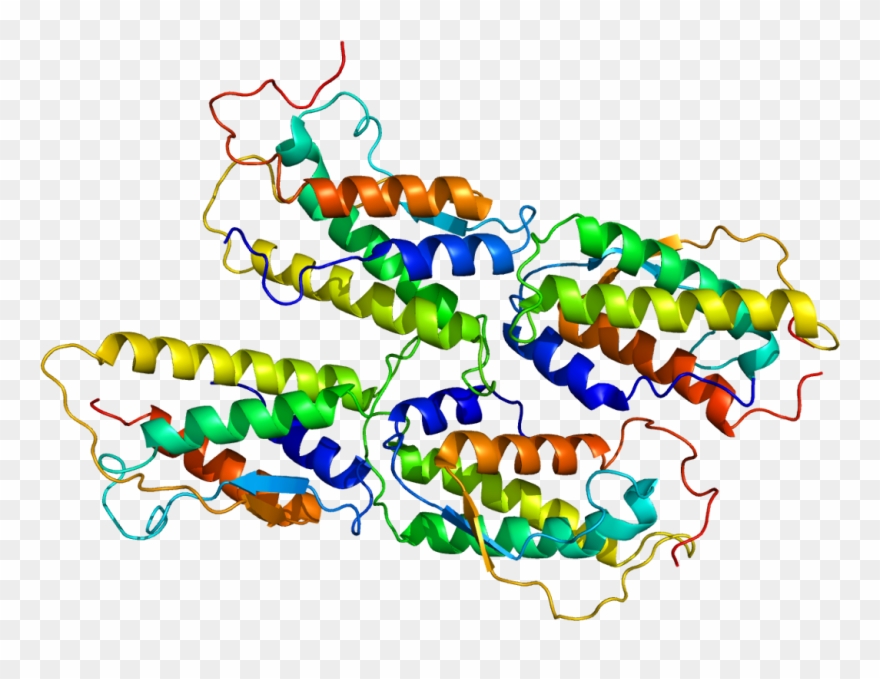 Grow Factor In Biology Clipart