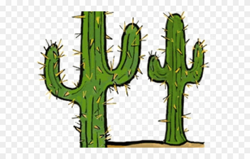 Cactus Clipart Tree - Saguaro Cactus Clipart - Png Download