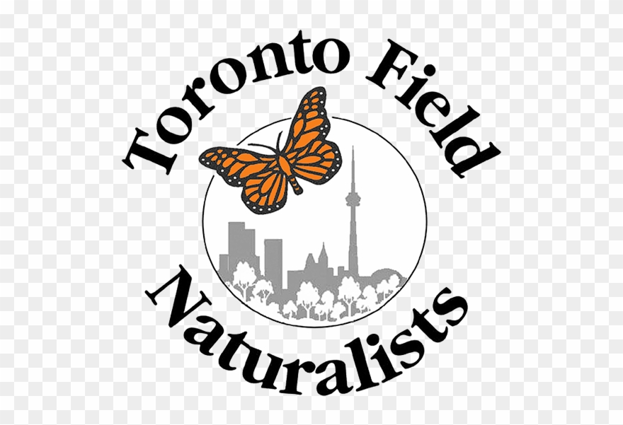 0 Antworten 0 Retweets 1 Gefällt Mir - Absinth 66 Clipart