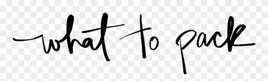 Travel Essentials - Travel Clipart