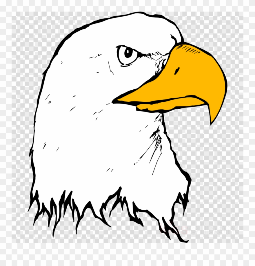 Download Eagle Beak Clipart Bald Eagle Clip Art Eagle - Eagle Beak Clipart - Png Download