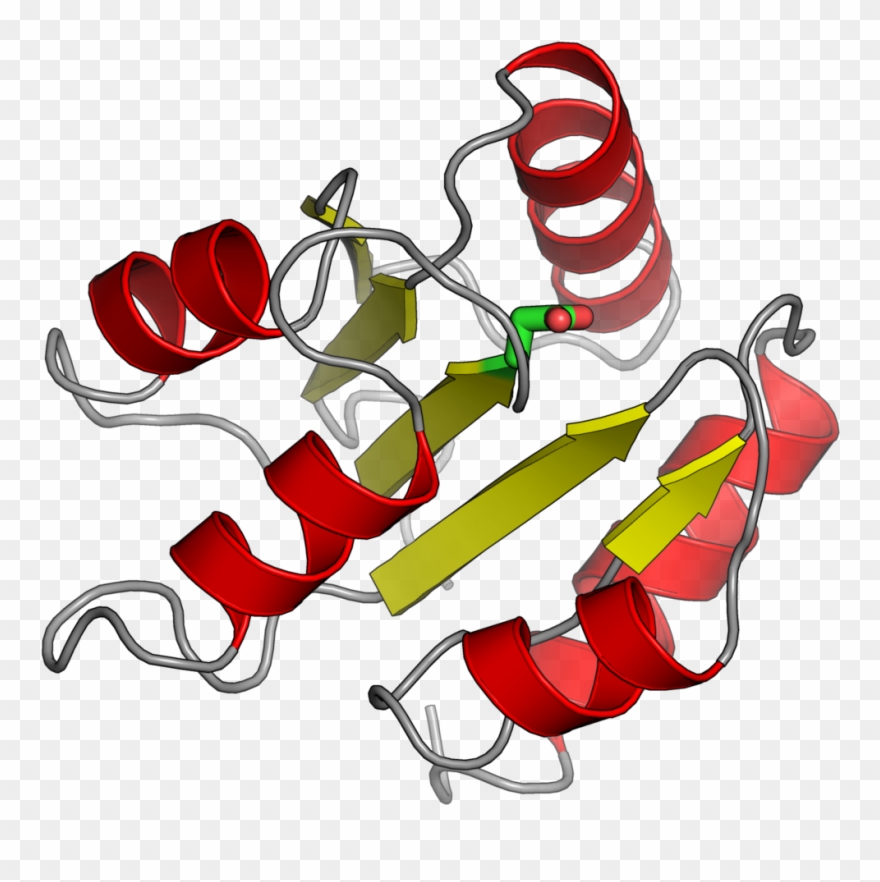 Response Regulator Clipart