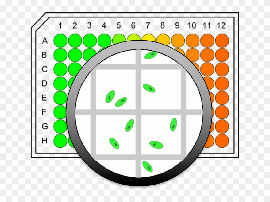 Microcell Arrays Obtain More Accurate Data From Single - Microcell Clipart