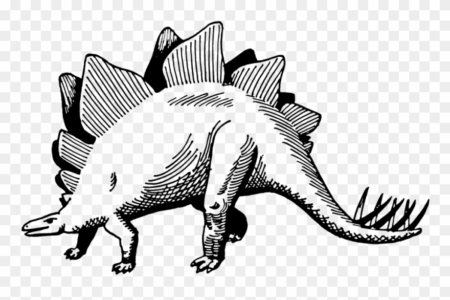 Stegosaurus - Am Extinct Clipart
