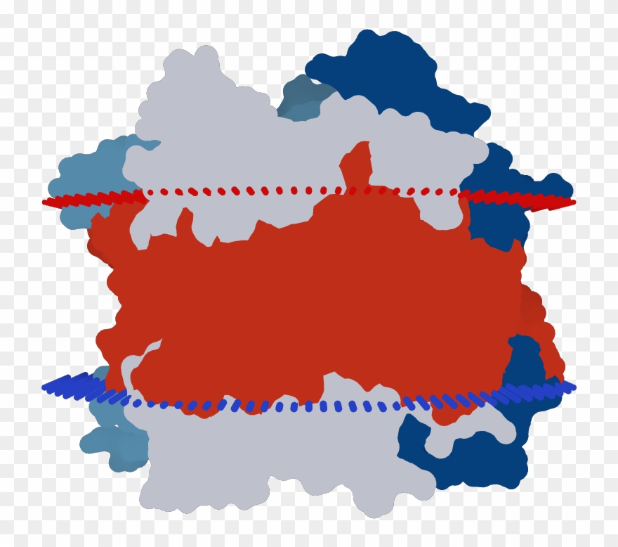 Transmembrane Flat Surface Display Opm Clipart