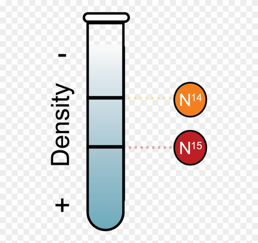 Basic Techniques In Isolating Dna Experiment Clipart