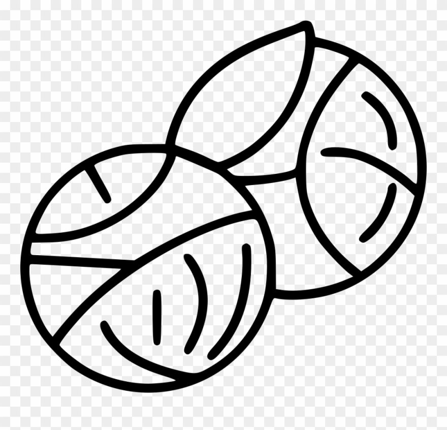 Brussels Sprouts Sprouts Comments - Brussel Sprout Icon Png Clipart
