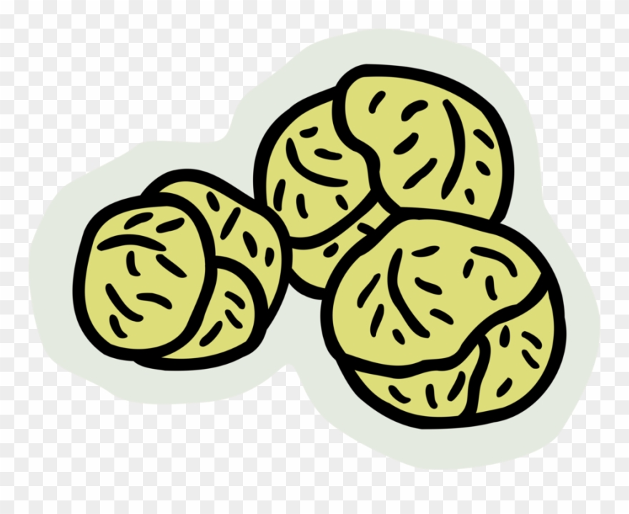 Vector Illustration Of Brussels Sprouts Small Cabbage - Xiaochi Clipart