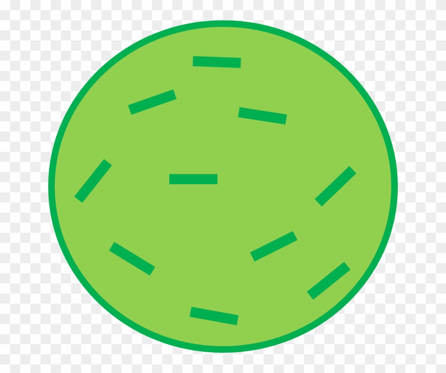 Brussel Sprout Body - Oklahoma University 1-1/2" Labels Clipart