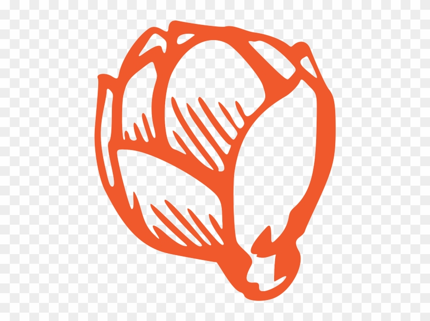 Is Quite Fond Of Brussels Sprouts Clipart