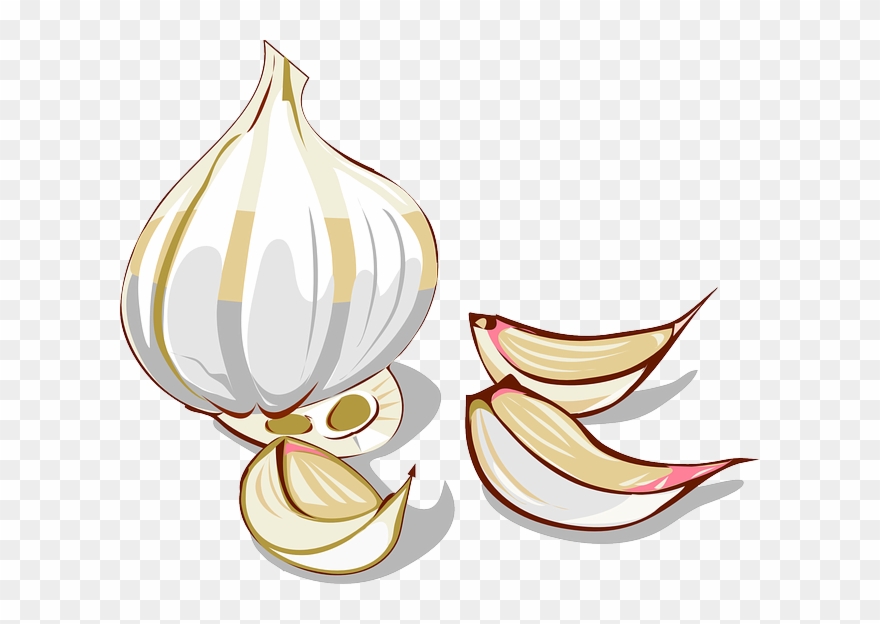 To Download The Recipe Simply Click To Open The Recipe - Garlic Clipart - Png Download