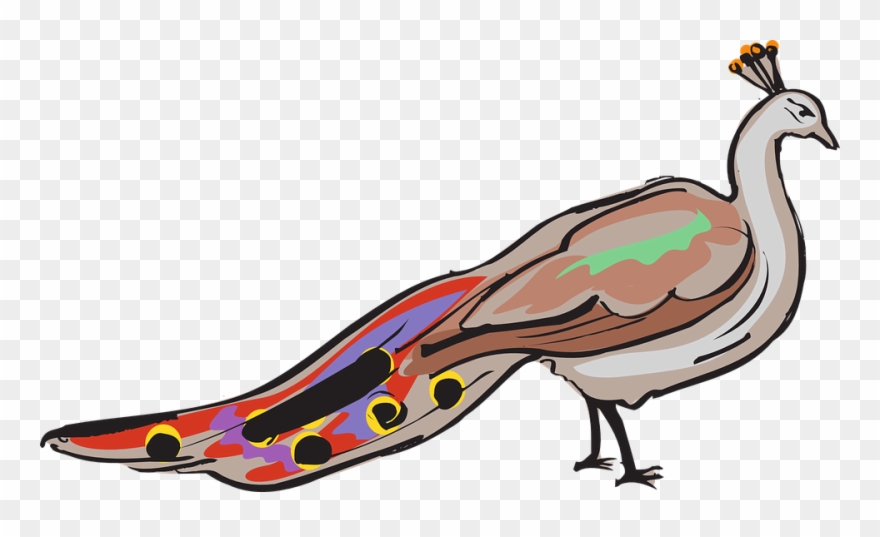 Peacock Png 8, Buy Clip Art - Colour Ful Pea Cock Transparent Png