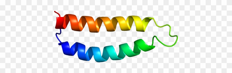 City Of Hope Research Has Found That The Protein Rlip76, - Graphic Design Clipart