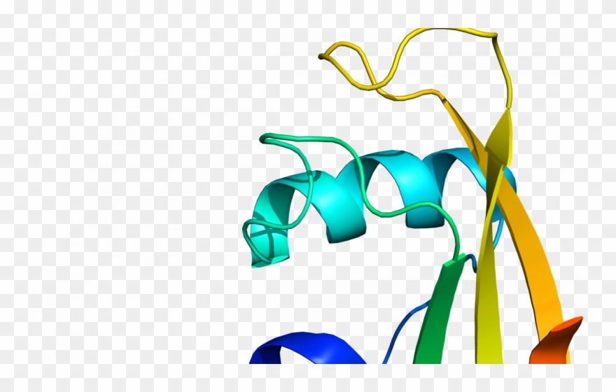 Study Gives Clues To Causes Of Motor Neurone Disease - Clip Art - Png Download