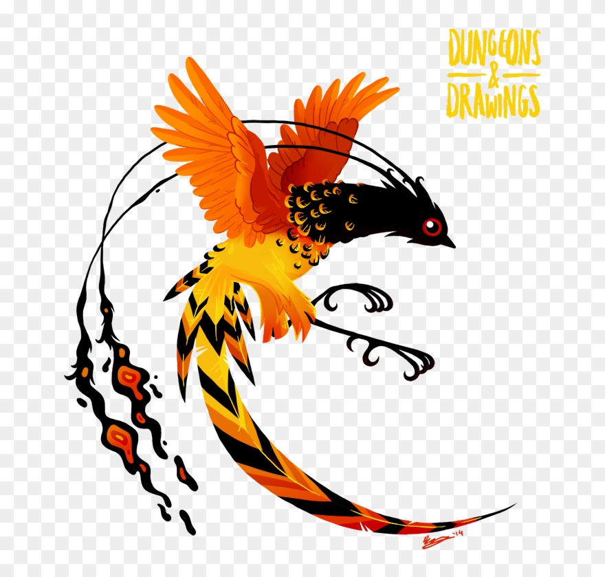 The Phoenix Is A Unique Creature - Dungeons & Drawings Clipart