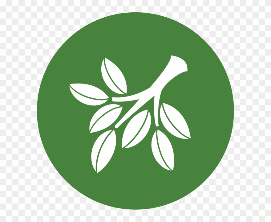 Conservation-csp - North Carolina Clipart