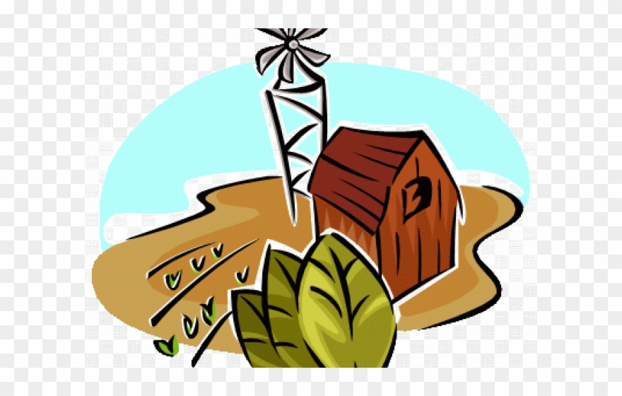 Cotton Clipart Cotton Ball Free Clipart On Ripe Corn - Farm Clip Art - Png Download