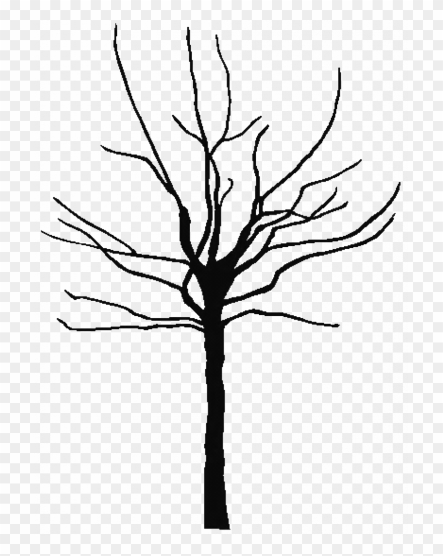 Leafless Tree Coloring Page - Bare Tree Outline Clipart - Png Download