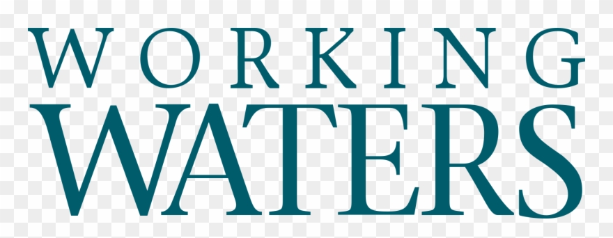 We Work To Create Systemic Change And Catalyze Shifts - Western Washington University Clipart