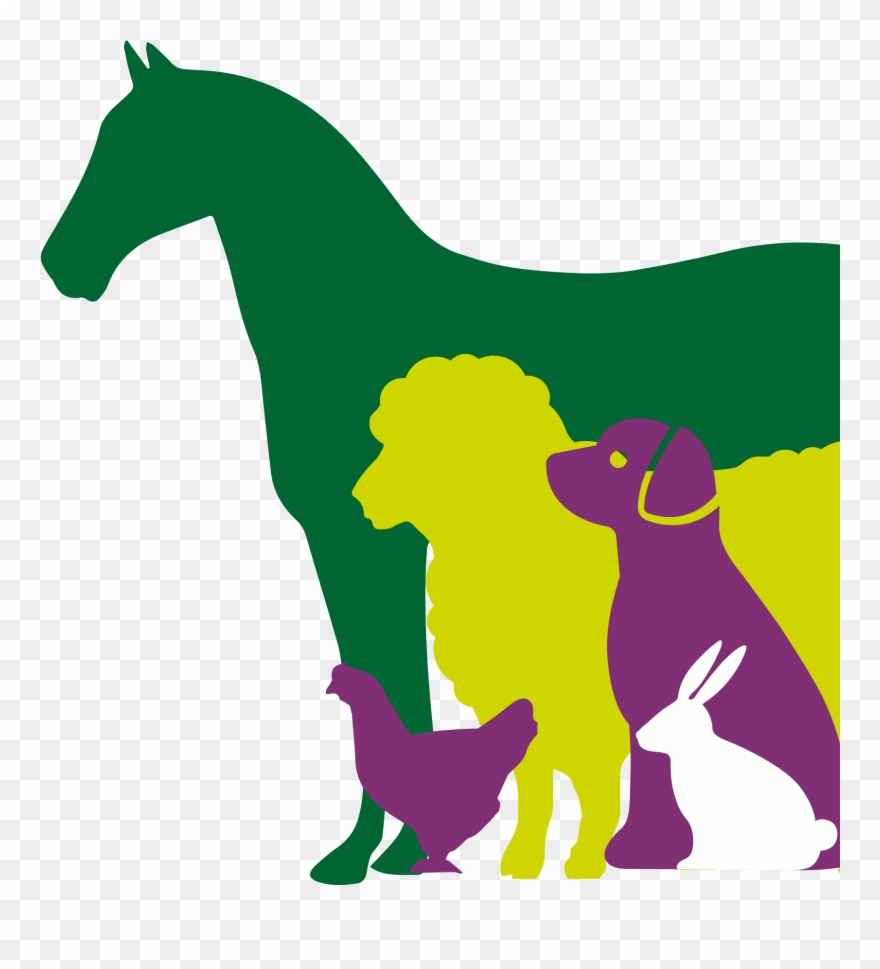 Use At Home - Mustang Horse Clipart