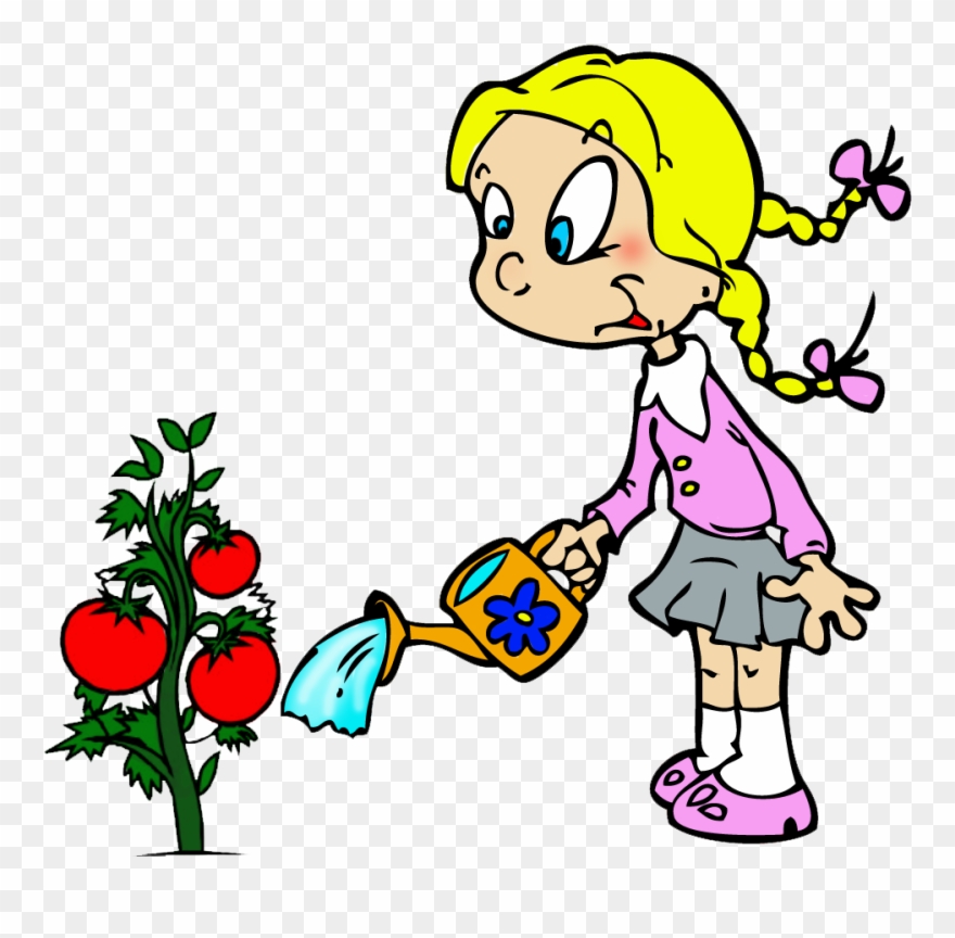 Dibujos Para Colorear Niños Sembrando Plantas ~ Ideas - Tomato Plant Clip Art - Png Download