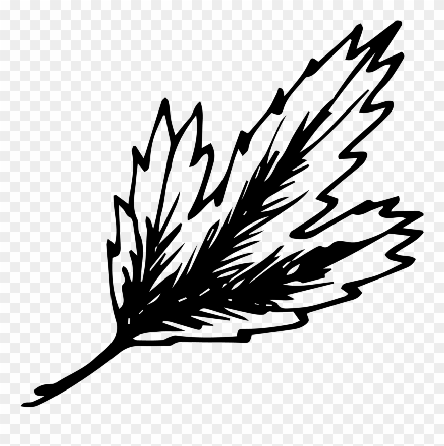 Ur Hops For Longer For More Flavour, But Only To A - Hops Clipart