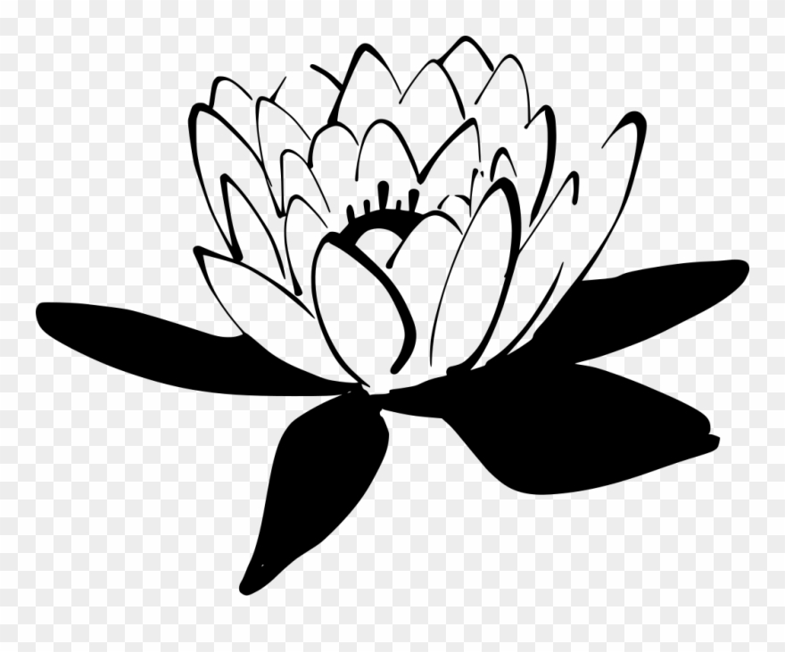 Info - Nelum Flower Clip Art - Png Download