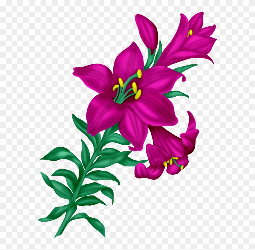 Фото, Автор I - Beauty Flowers Images Png Clipart