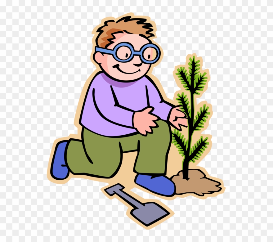 Boy Plants Evergreen Tree Vector Image Illustration - Imagenes De Observacion Directa Clipart