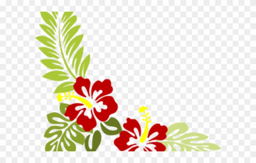 Hibiscus Clip Art - Png Download
