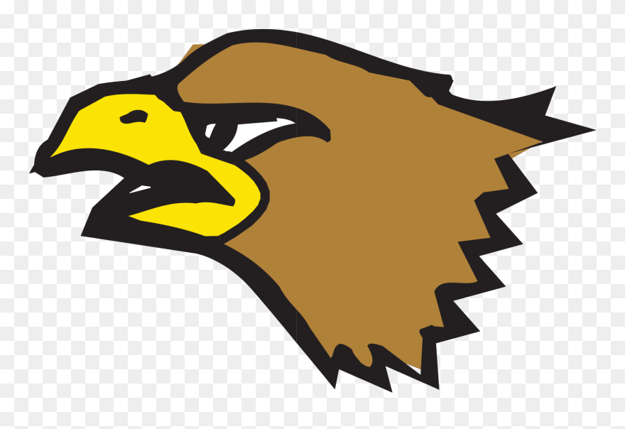 Cartoon Eagle Clipart 8, Buy Clip Art - Birds 3: In Plastic Canvas [book] - Png Download