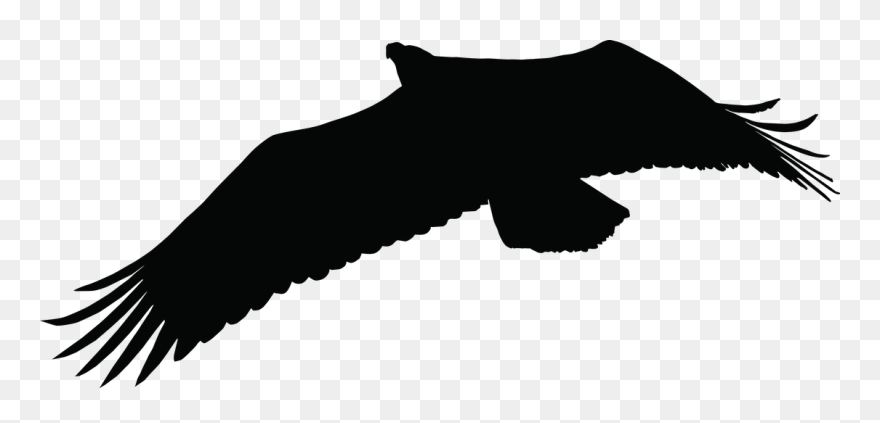 Eagle Silhouette Cliparts 21, Buy Clip Art - Siluet Elang - Png Download