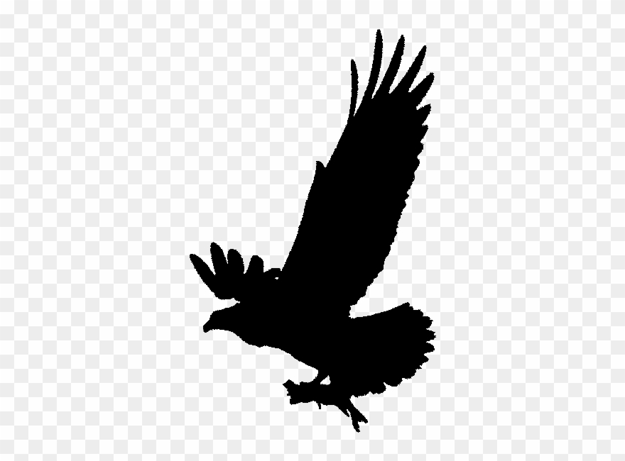 Osprey Clipart Silhouette - Osprey Clip Art Black And White - Png Download