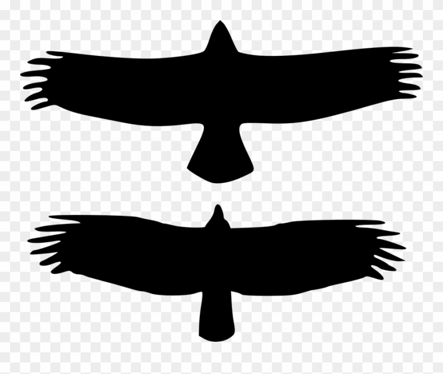 Eagle Silhouette Cliparts 23, Buy Clip Art - 2 Bird Clip Art Black - Png Download