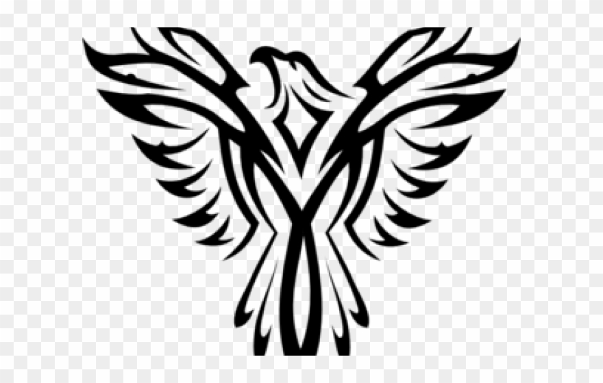 Golden Eagle Clipart Black And White - Eagle Art - Png Download