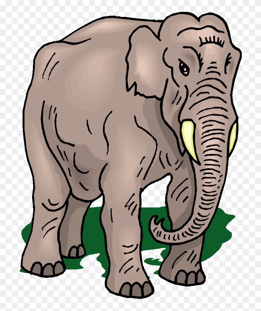 Free Elephant Clipart - Indian Elephant - Png Download