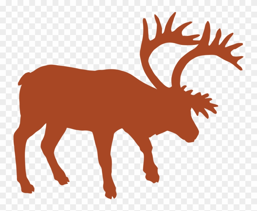 Mountain Caribou - Deer Clipart