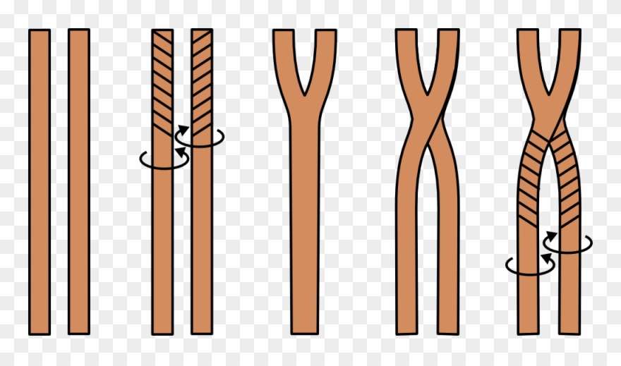 Alternative 2-stranded Braiding Technique - Braid 2 Strands Clipart