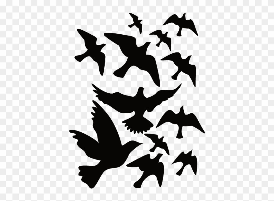 Sticker Nature Oiseaux - Nature Black White Stickers Clipart