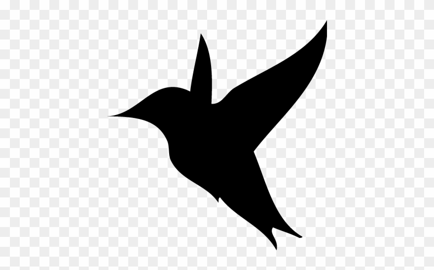 Stickers Voiture Oiseau, Stickers Animaux Pour Voiture - Car Clipart