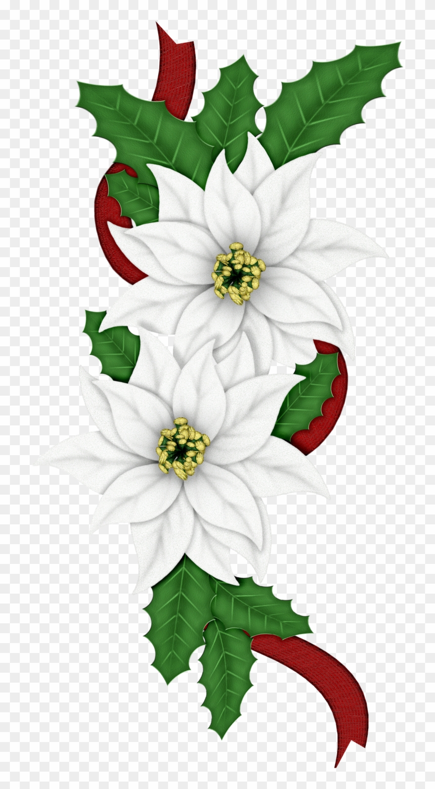 Edelweiss Png - Clip Art Of Christmas Flowers Transparent Png