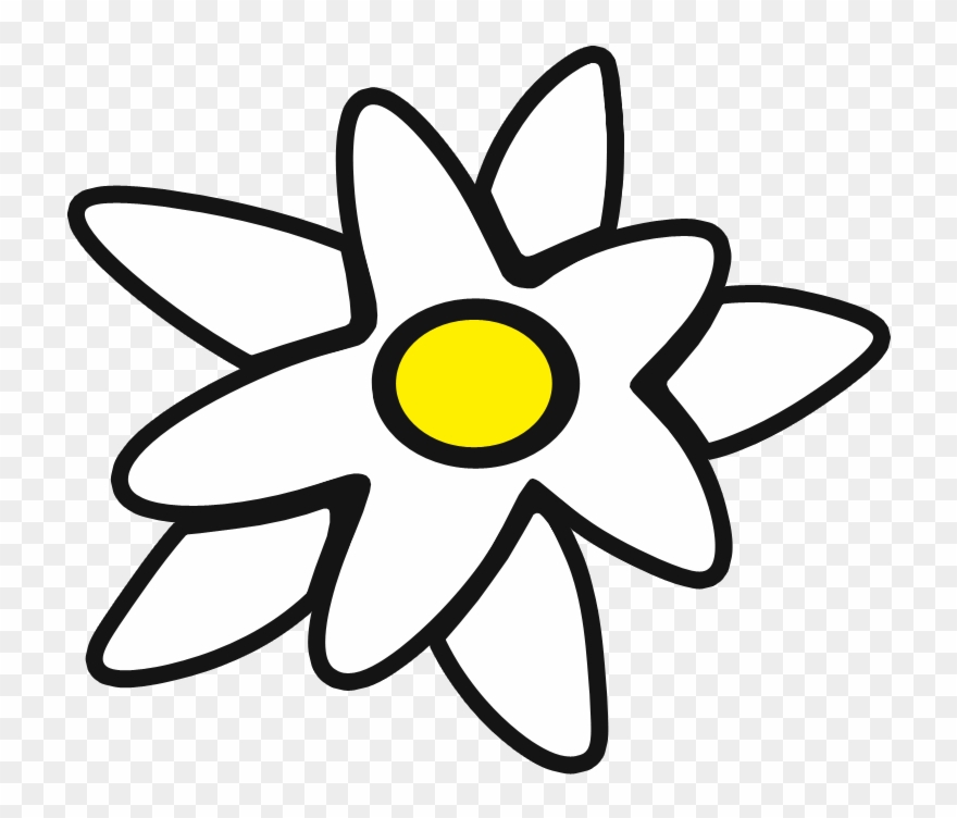 Edelweiss Png - Эдельвейс Png Clipart