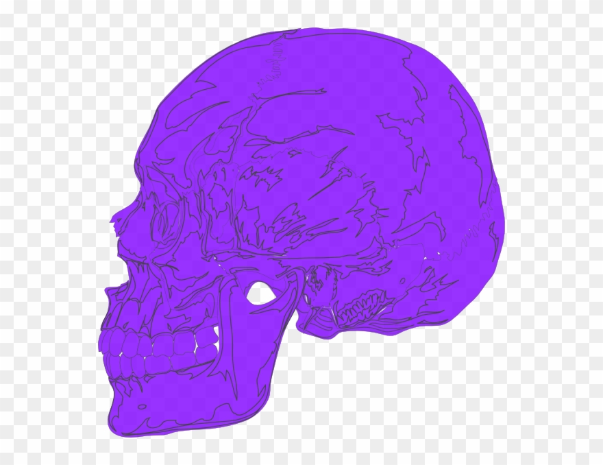 Hyhg Clip Art - Skull - Png Download