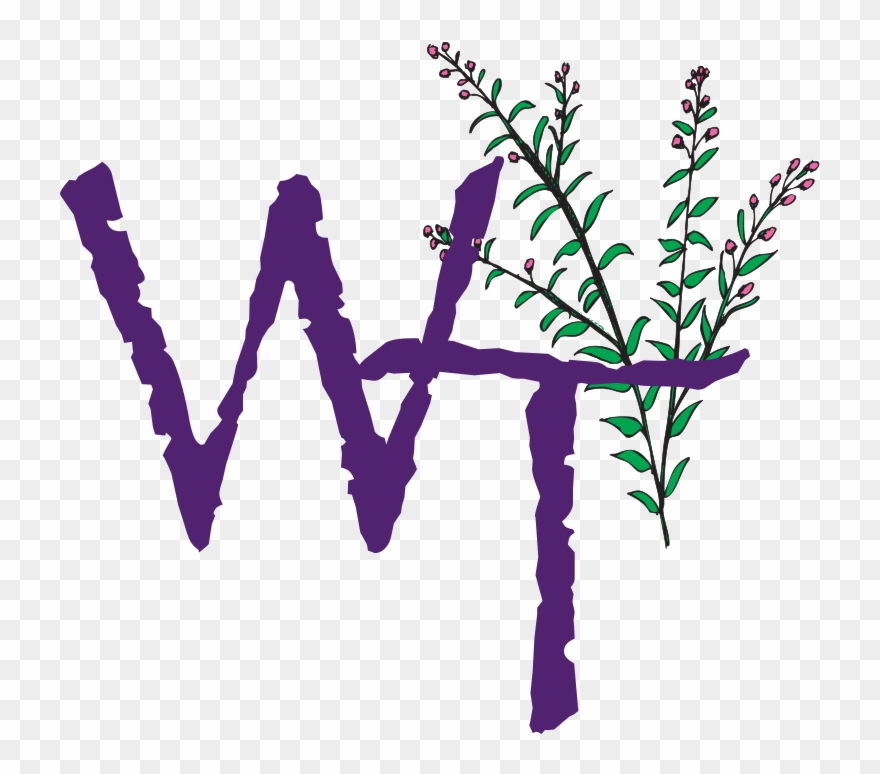 Image - Willow Tree Clipart