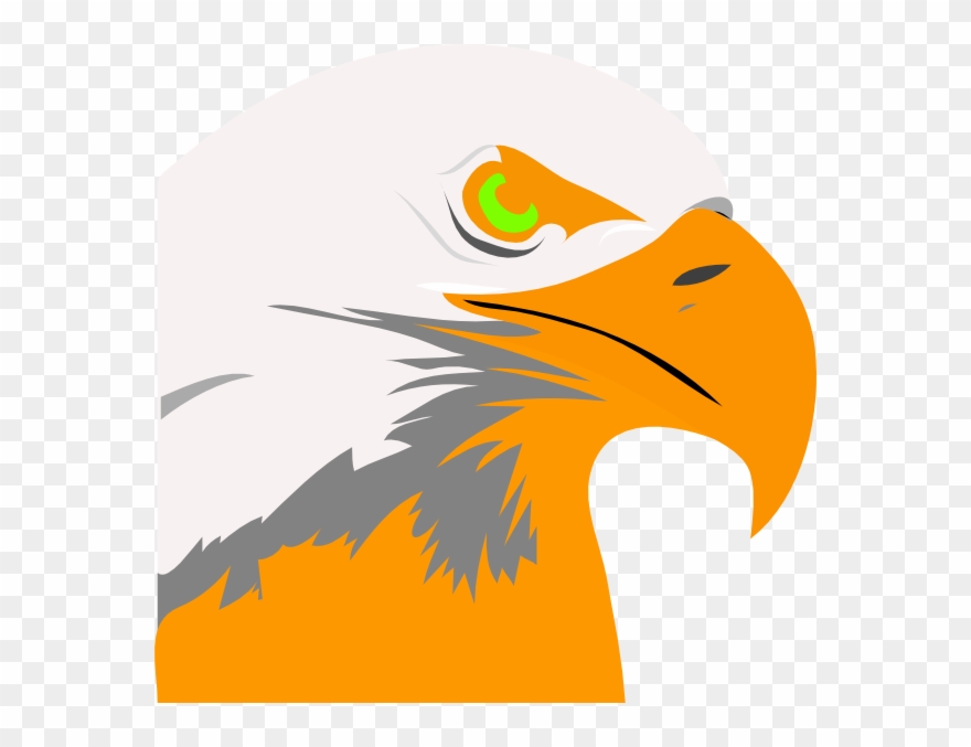 Eagle Logo Png Orange Clipart