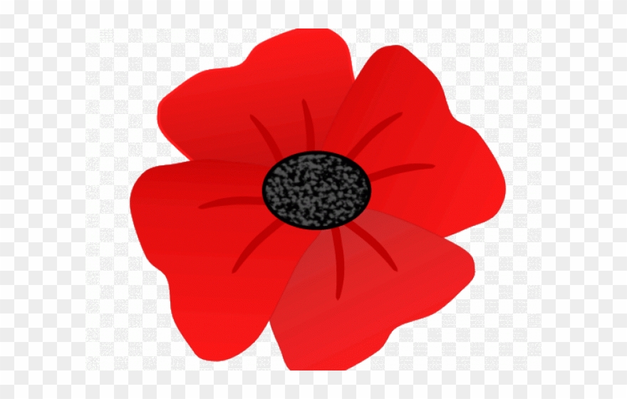 Poppy Clipart Transparent Background - Poppy Flower Clip Art - Png Download