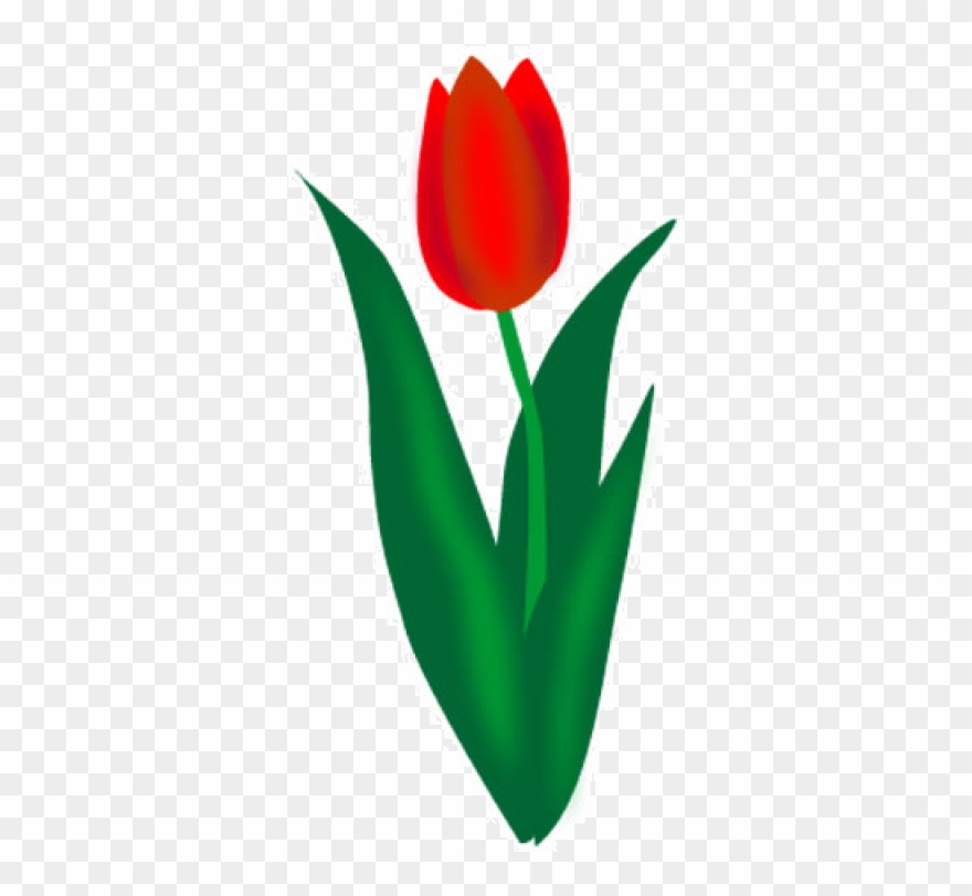 Tulip Png Image, Download Png Image With Transparent - Tulip Clipart Png