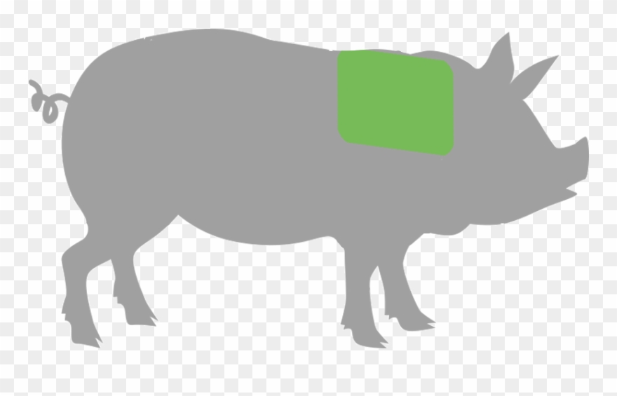 Prev - My Year Without Meat By Richard Cornish Clipart